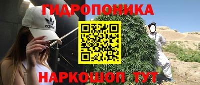 spice Бузулук