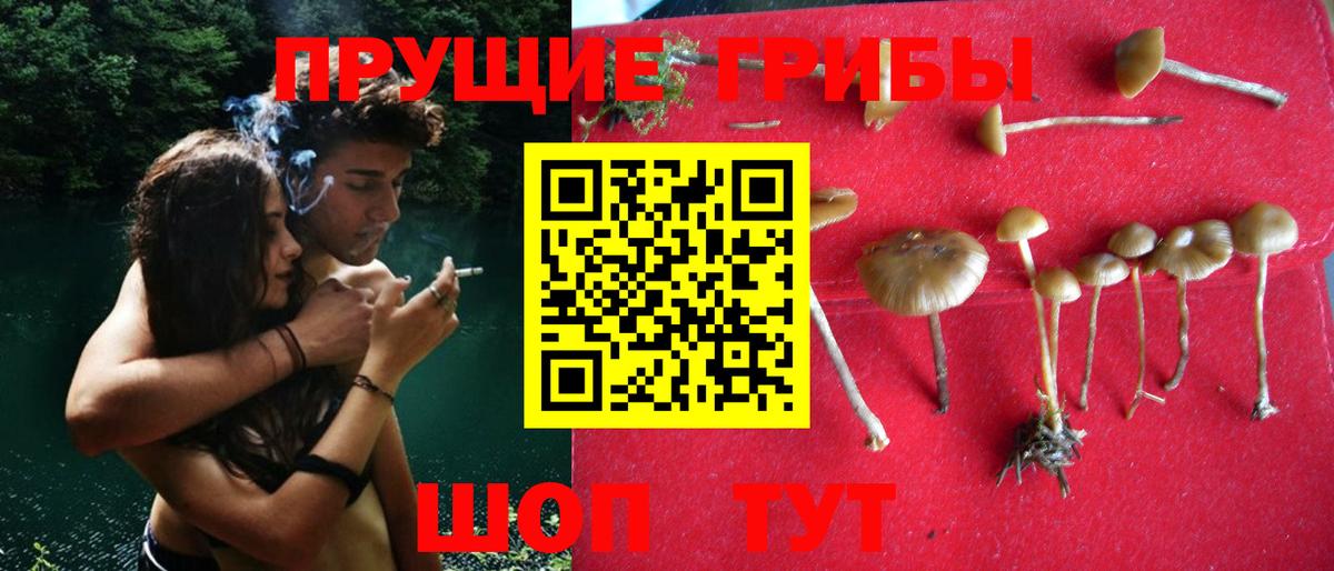 сколько стоит  Вход с VPN  Орск  Псилоцибиновые грибы ЛСД 